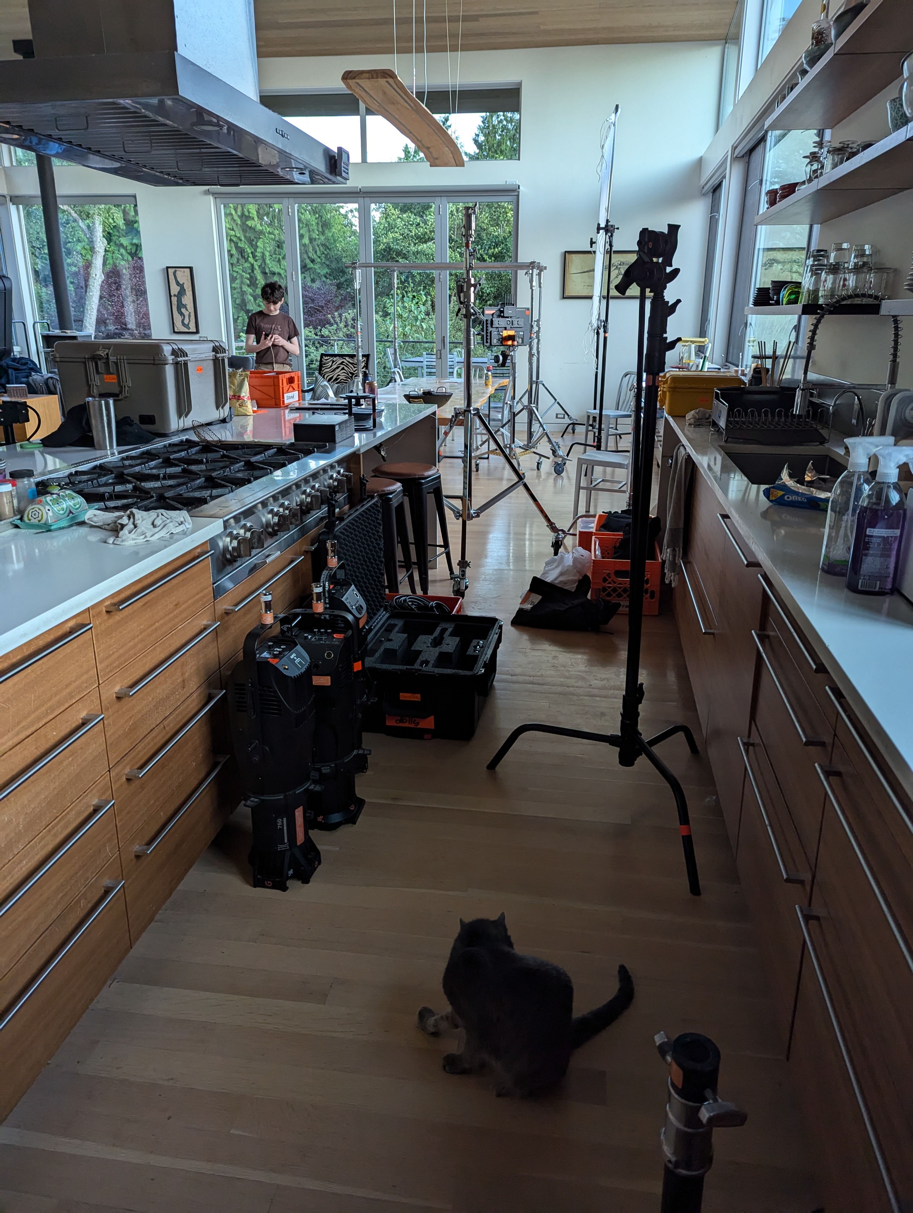 Gear in the kitchen (aftermath)